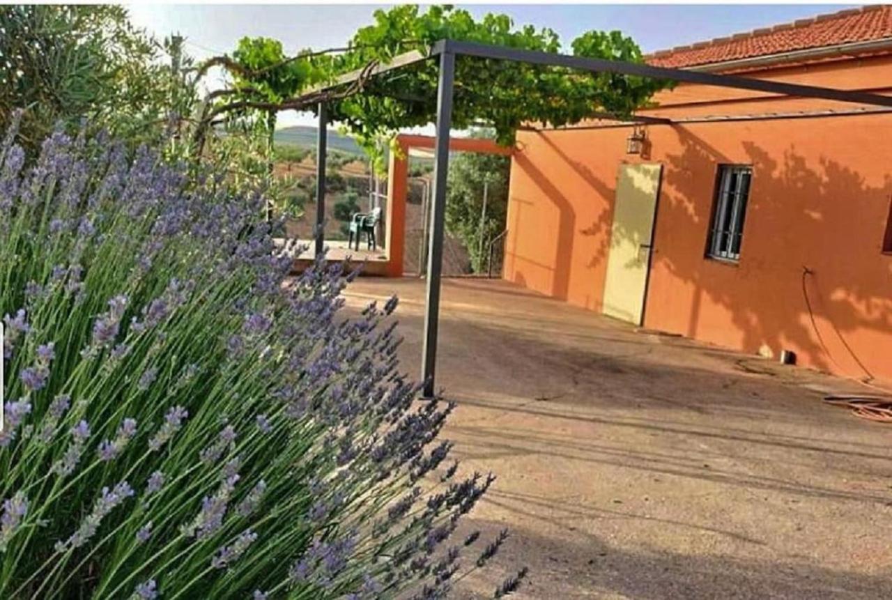 阿尔哈马德格兰娜达Cortijo Puente Alhama别墅 外观 照片